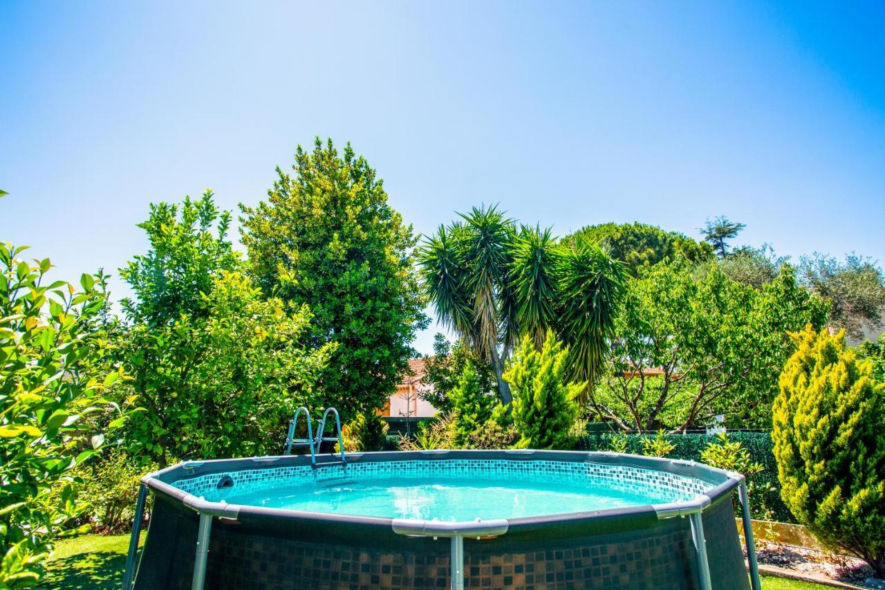 Villa Provence-Spa&Bbq Centre Au Calme- Jardin - Terrasses La Valette-du-Var Exterior photo